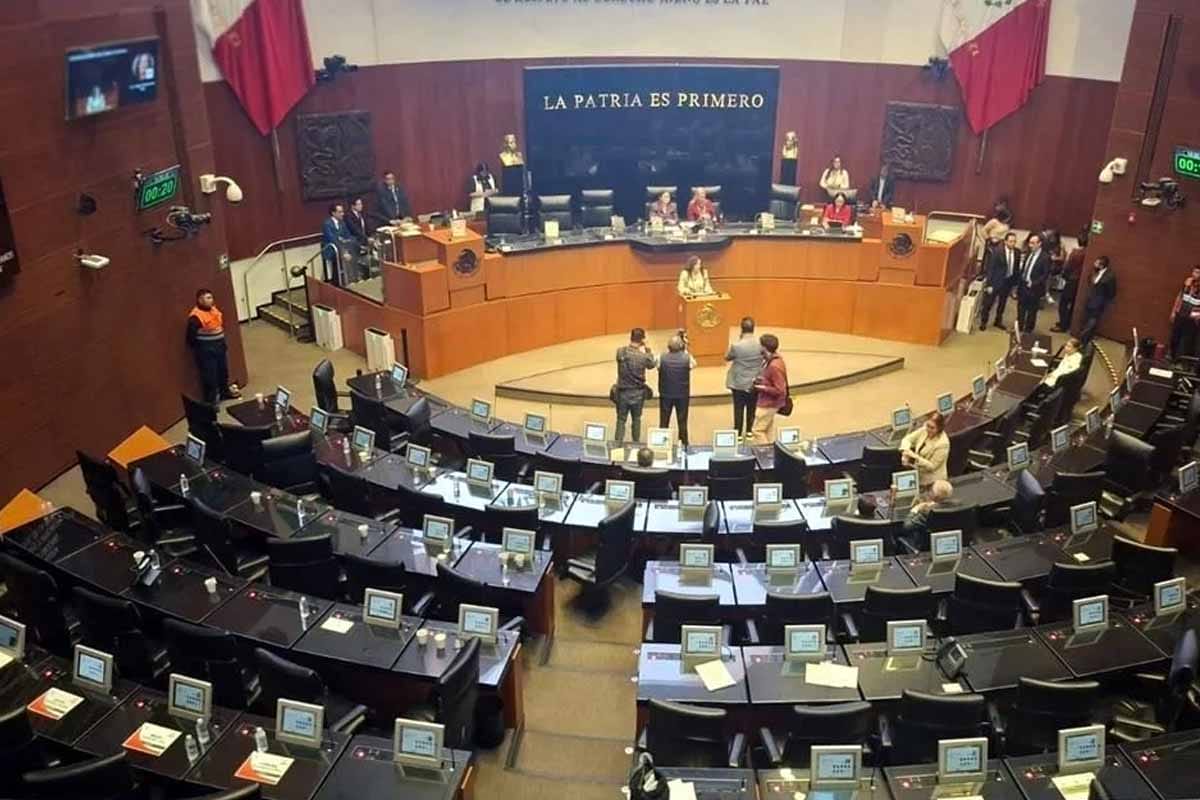 Senato, CFE, Pemex ve Banxico personelinin silah taşıma hakkını onayladı.