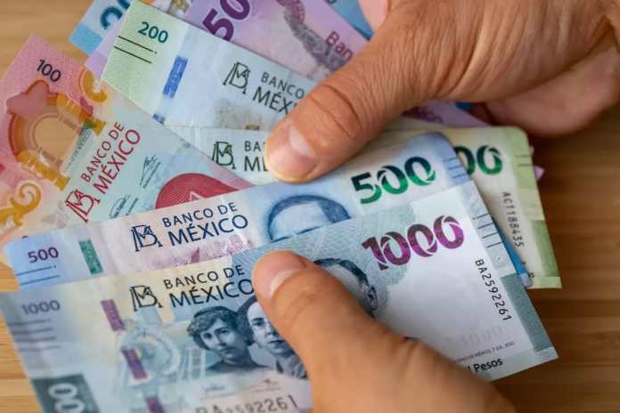 Kredi Bürosu'na kayıtlıysam 2025 yılında bana herhangi bir kar paylaşımı yapılmayacak mı? Size açıklıyoruz