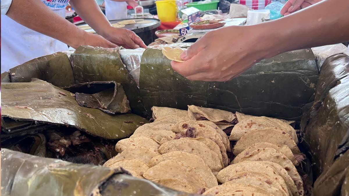 Orgullo Mexicano: Actopan Rompe Récord Guinness con Tacos de Barbacoa - La  Verdad Noticias
