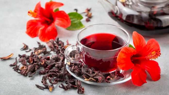 Flor de jamaica: 15 poderosos beneficios que transformarán tu salud