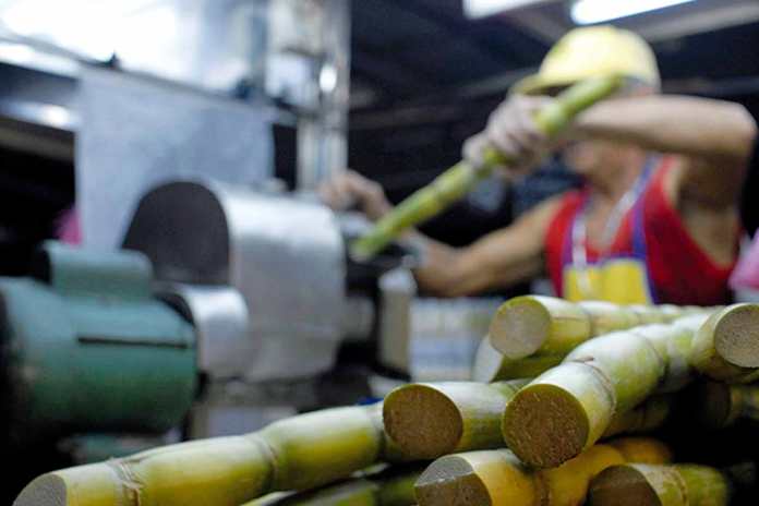 Mexico promotes measures to save the sugar sector from the crisis