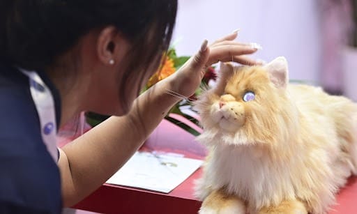 Gato virtual que responde às emoções